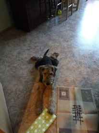 IMG_20161118_095144.jpg