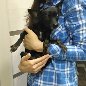 IMG_20170603_201802_935.jpg (98.68 КБ, Просмотров: 1490) IMG_20170603_201802_935.jpg