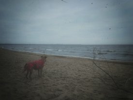 IMG_20171109_200058-01-1114x836.jpeg