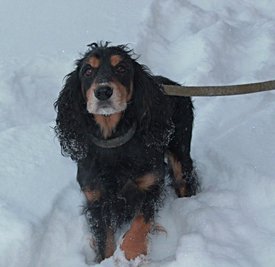 IMG_20171220_210907_41.jpg (123.71 КБ, Просмотров: 1840) IMG_20171220_210907_41.jpg