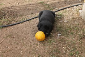 IMG_2639.jpg