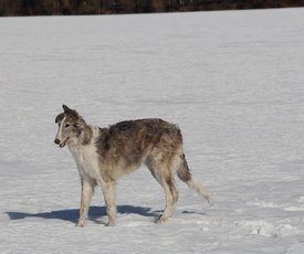 IMG_3431.JPG