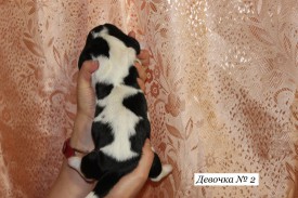 IMG_3943.JPG