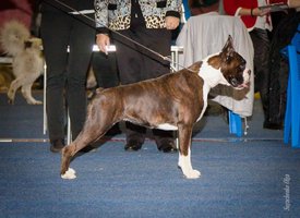 IMG_4079.jpg (122.38 КБ, Просмотров: 10335) IMG_4079.jpg