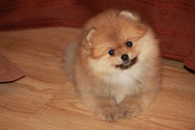 IMG_4125.JPG
