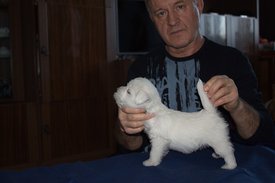 IMG_4236.jpg (83.08 КБ, Просмотров: 2145) IMG_4236.jpg