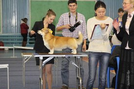 IMG_4380.jpg (123.14 КБ, Просмотров: 10335) IMG_4380.jpg