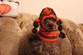 IMG_4455.JPG