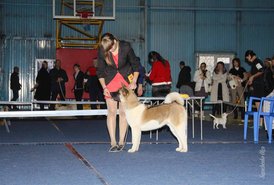 IMG_4615.jpg (122.45 КБ, Просмотров: 10335) IMG_4615.jpg