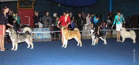 IMG_4736.jpg (106.94 КБ, Просмотров: 10335) IMG_4736.jpg