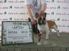 IMG_5182.JPG