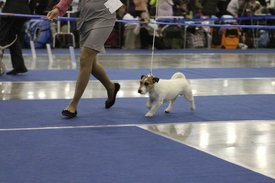 IMG_5499.JPG