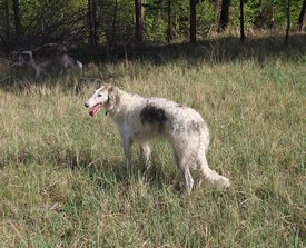 IMG_5786.JPG
