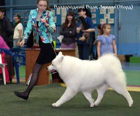 IMG_6172.JPG