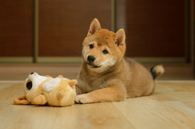 IMG_6649_web.jpg