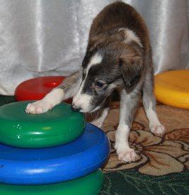 IMG_7165.JPG