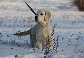 IMG_7218.jpg