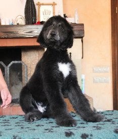 IMG_8280_1.jpg (93.05 КБ, Просмотров: 1570) IMG_8280_1.jpg