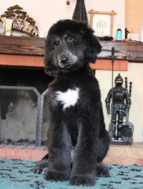 IMG_8284_1.jpg (104.94 КБ, Просмотров: 1570) IMG_8284_1.jpg