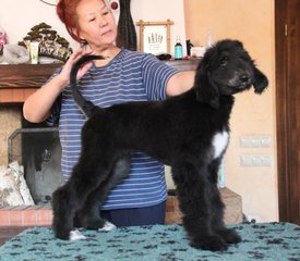 IMG_8332_1.jpg (106.58 КБ, Просмотров: 1591) IMG_8332_1.jpg