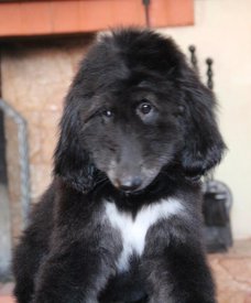 IMG_8338_1.jpg (81.23 КБ, Просмотров: 1591) IMG_8338_1.jpg