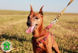 IMG_8772.jpg (128.65 КБ, Просмотров: 2421) IMG_8772.jpg