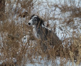 IMG_9096.JPG