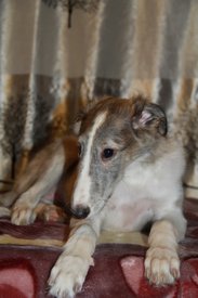 IMG_9539.JPG