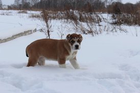 IMG_9803.JPG
