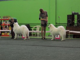 KQUSYUkN.jpg (115.01 КБ, Просмотров: 6750) KQUSYUkN.jpg