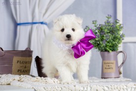 L26A0635.jpg (222.51 КБ, Просмотров: 1371) L26A0635.jpg