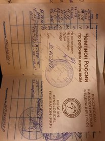 L2sDsGAHonQ.jpg (159.57 КБ, Просмотров: 6692) L2sDsGAHonQ.jpg