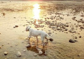 MkvlyvNsW8Q.jpg (73.83 КБ, Просмотров: 7720) MkvlyvNsW8Q.jpg