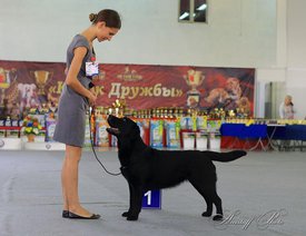 NuMpXzliIx-ndkT35eXRw-iIZSNlLqZ8.jpg (45.44 КБ, Просмотров: 1912) NuMpXzliIx-ndkT35eXRw-iIZSNlLqZ8.jpg