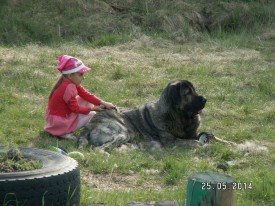 PICT3344.JPG