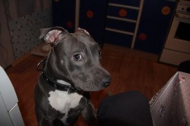 QgPXFsNgqdA.jpg (30.67 КБ, Просмотров: 1433) QgPXFsNgqdA.jpg