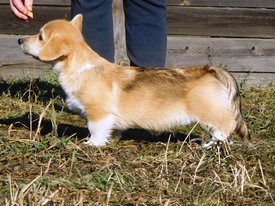 RSCN3430.JPG