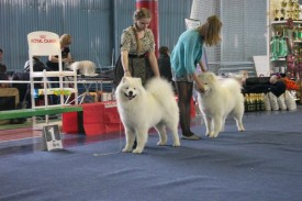 RdYACWIooVQ.jpg (58.78 КБ, Просмотров: 6236) RdYACWIooVQ.jpg