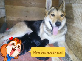 TMPDOODLE1473751326130.jpg (265.75 КБ, Просмотров: 1291) TMPDOODLE1473751326130.jpg