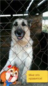 TMPDOODLE1475164518518.jpg (291.62 КБ, Просмотров: 1231) TMPDOODLE1475164518518.jpg