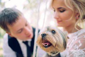 V&D-web-0230.jpg (329.1 КБ, Просмотров: 1399) V&D-web-0230.jpg