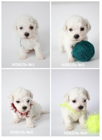 VCC0DbUcGn0.jpg (181.43 КБ, Просмотров: 3702) VCC0DbUcGn0.jpg