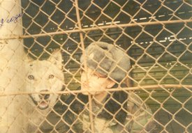 VRVj4E4yq3E.jpg (220.61 КБ, Просмотров: 8571) VRVj4E4yq3E.jpg