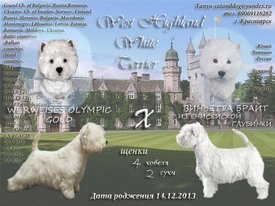 YccClwoAChs.jpg (84.07 КБ, Просмотров: 1496) YccClwoAChs.jpg