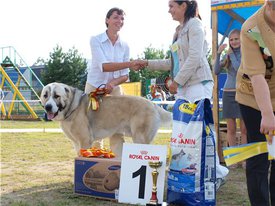 a4b63469e191.jpg (53.7 КБ, Просмотров: 2377) a4b63469e191.jpg