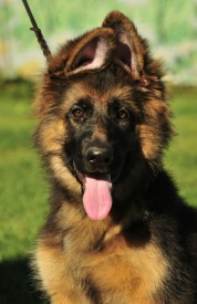 a71af901fdfd.jpg (93.74 КБ, Просмотров: 1561) a71af901fdfd.jpg