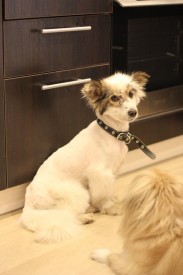 a72DvhYqK30.jpg (61.82 КБ, Просмотров: 2635) a72DvhYqK30.jpg