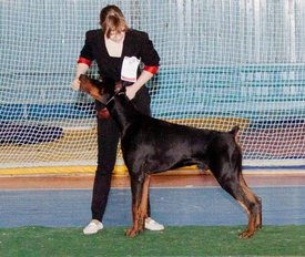 anI1z.jpg (64.98 КБ, Просмотров: 35349) anI1z.jpg