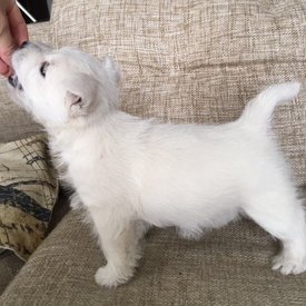 b505f4c3-765a-4a7c-b2fe-fa208617122b.jpg (212.55 КБ, Просмотров: 1447) b505f4c3-765a-4a7c-b2fe-fa208617122b.jpg