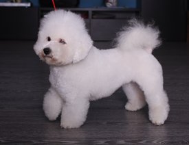 c-7YBI2SisQ.jpg (112.49 КБ, Просмотров: 3785) c-7YBI2SisQ.jpg